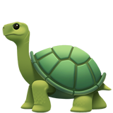 turtle icon